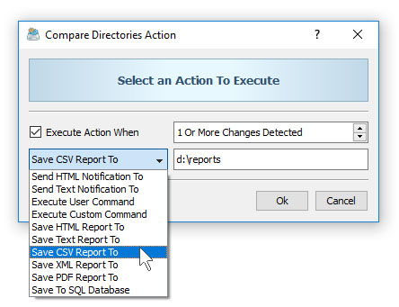 Compare Directories Conditional Actions Report