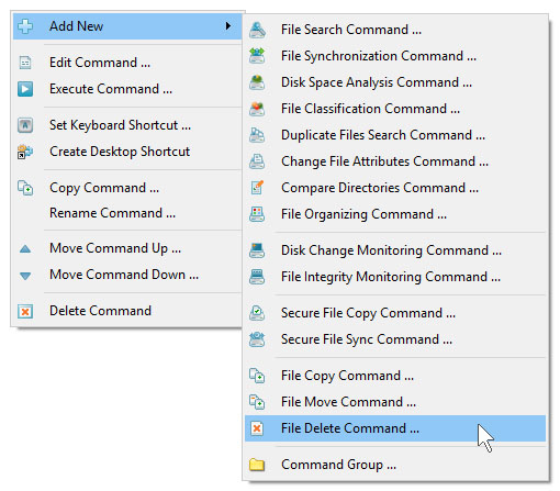 File Delete Commands