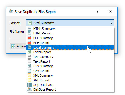 DiskBoss Duplicate Files Save Excel Report