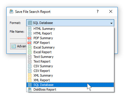 DiskBoss File Search Save SQL Database Report